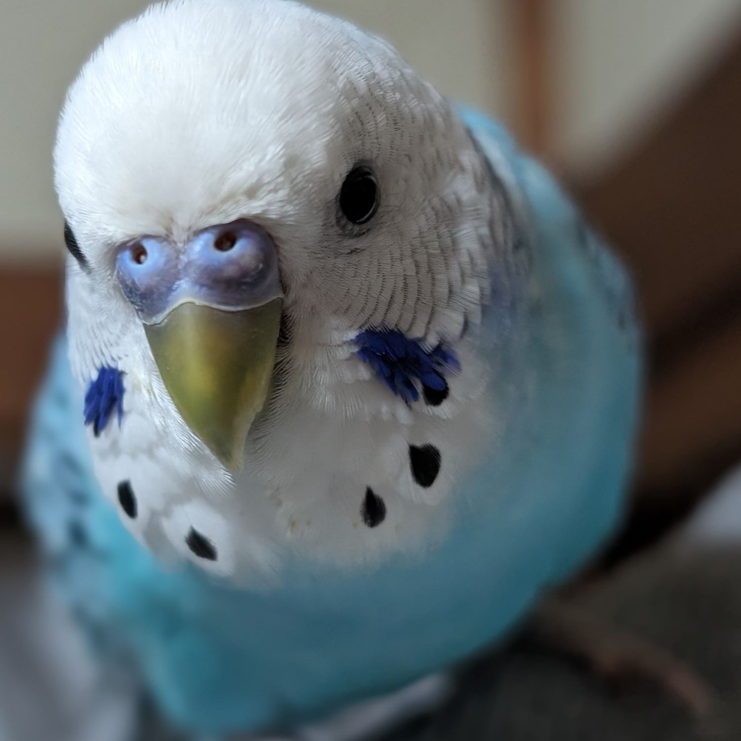 プロフィール写真2