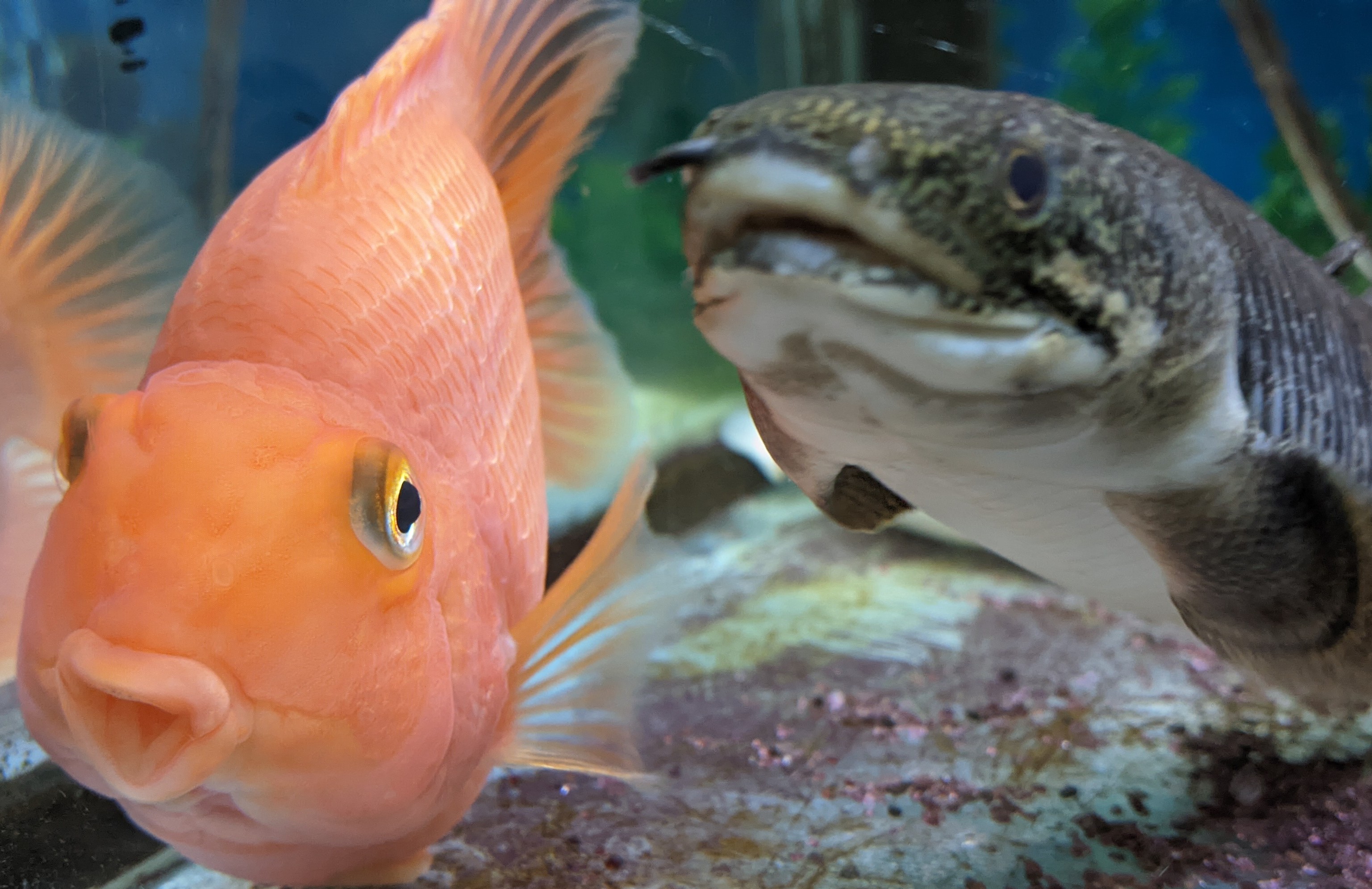 プロフィール写真4