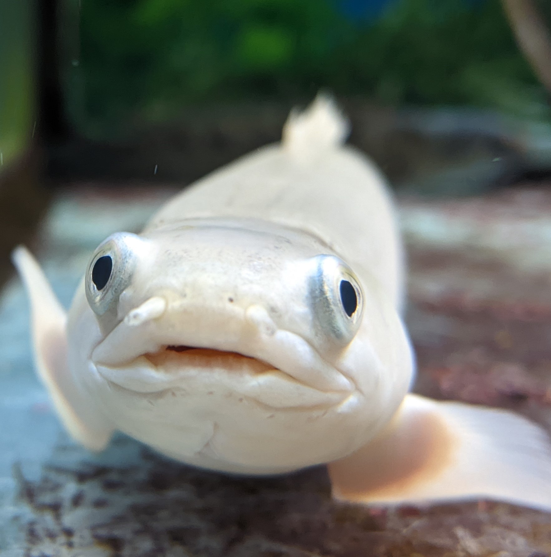 プロフィール写真4